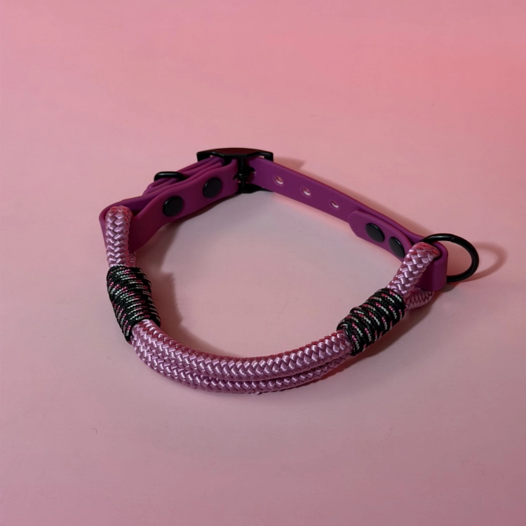 3954.jpg