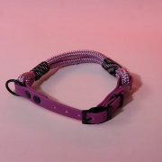3951.jpg