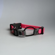 IMG_7721.jpeg