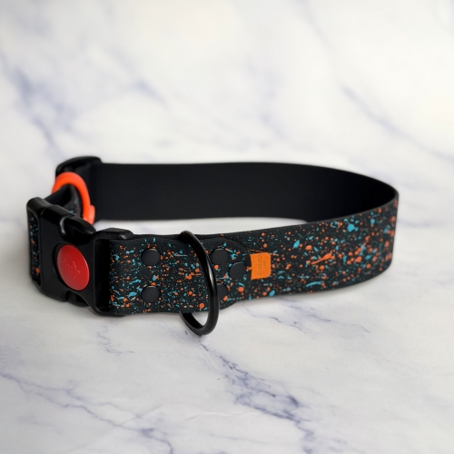 IMG_8569.jpeg