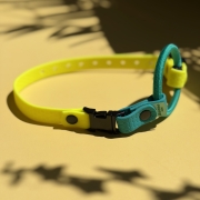 IMG_8984.jpeg