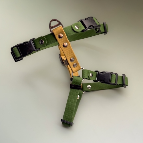 Szelki guard 2 cm khaki gold