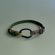 IMG_2497.jpeg