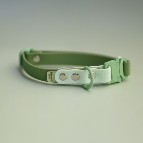 Obroża na zatrzask 2 cm 29-45 cm matcha + mint green