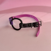 IMG_2782.jpeg
