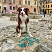 WhatsApp Image 2024-04-01 at 17.42.39 (1).jpeg