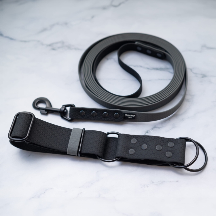 Czarna obroża półzaciskowa Bueno DOG Hexa 40 mm z dopasowaną szarą smyczą