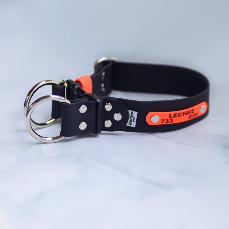 Obroża na zatrzask 4 cm – opcja Double Lock, dwa kółka do przypięcia smyczy, zbliżenie Bueno DOG