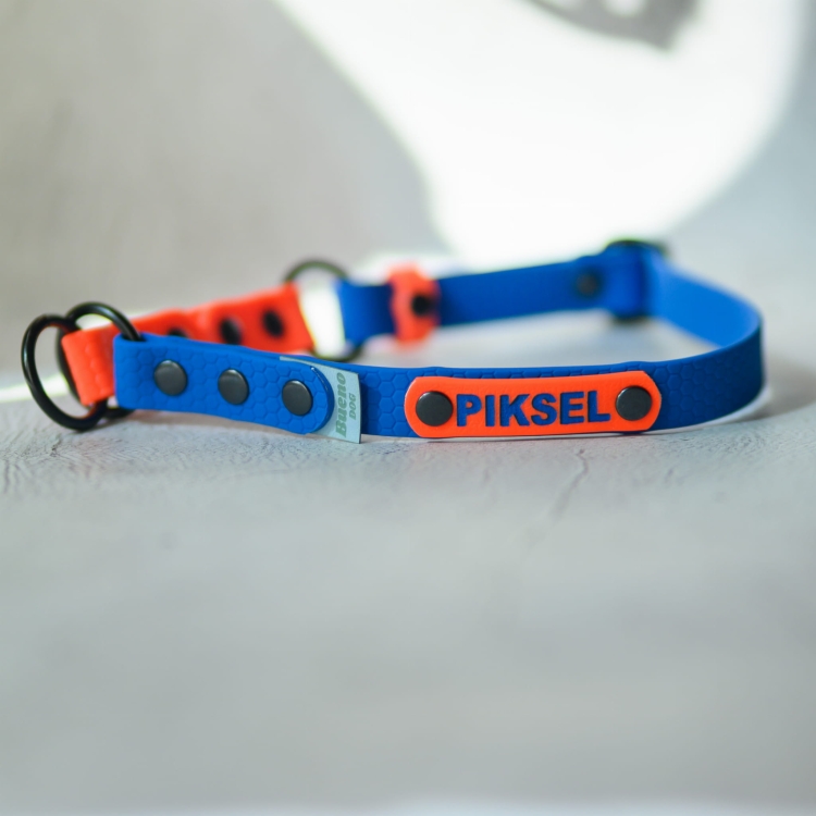 Niebieska obroża półzaciskowa Bueno DOG z pomarańczową adresówką PIKSEL