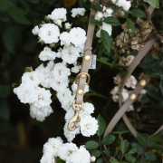 IMG_2549.jpeg