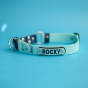 Miętowa obroża półzaciskowa Bueno DOG z grawerowaną adresówką ROCKY