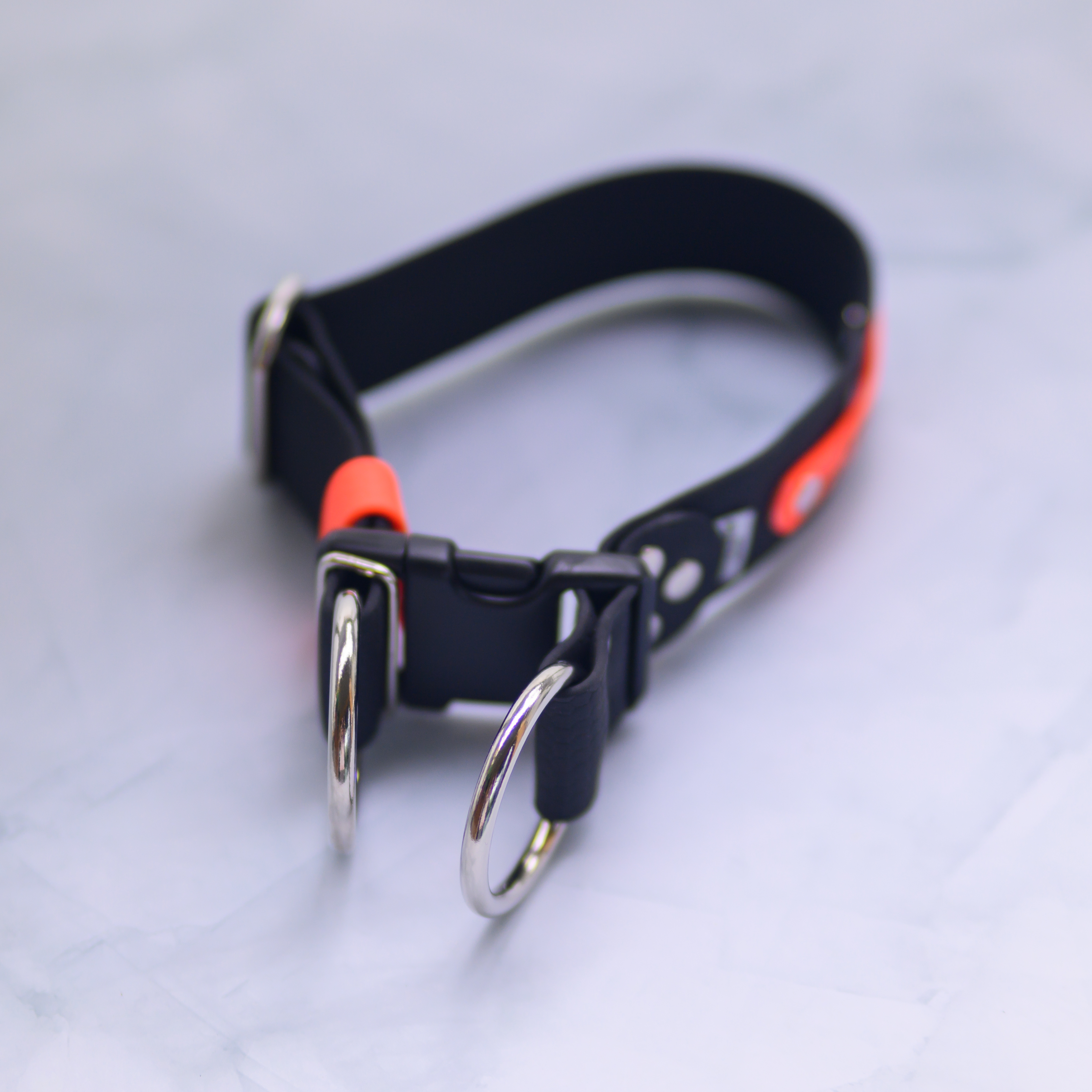 Obroża na zatrzask 40 mm – Double Lock z klamrą plastikową, zabezpieczenie przed przypadkowym odpięciem (Bueno DOG)
