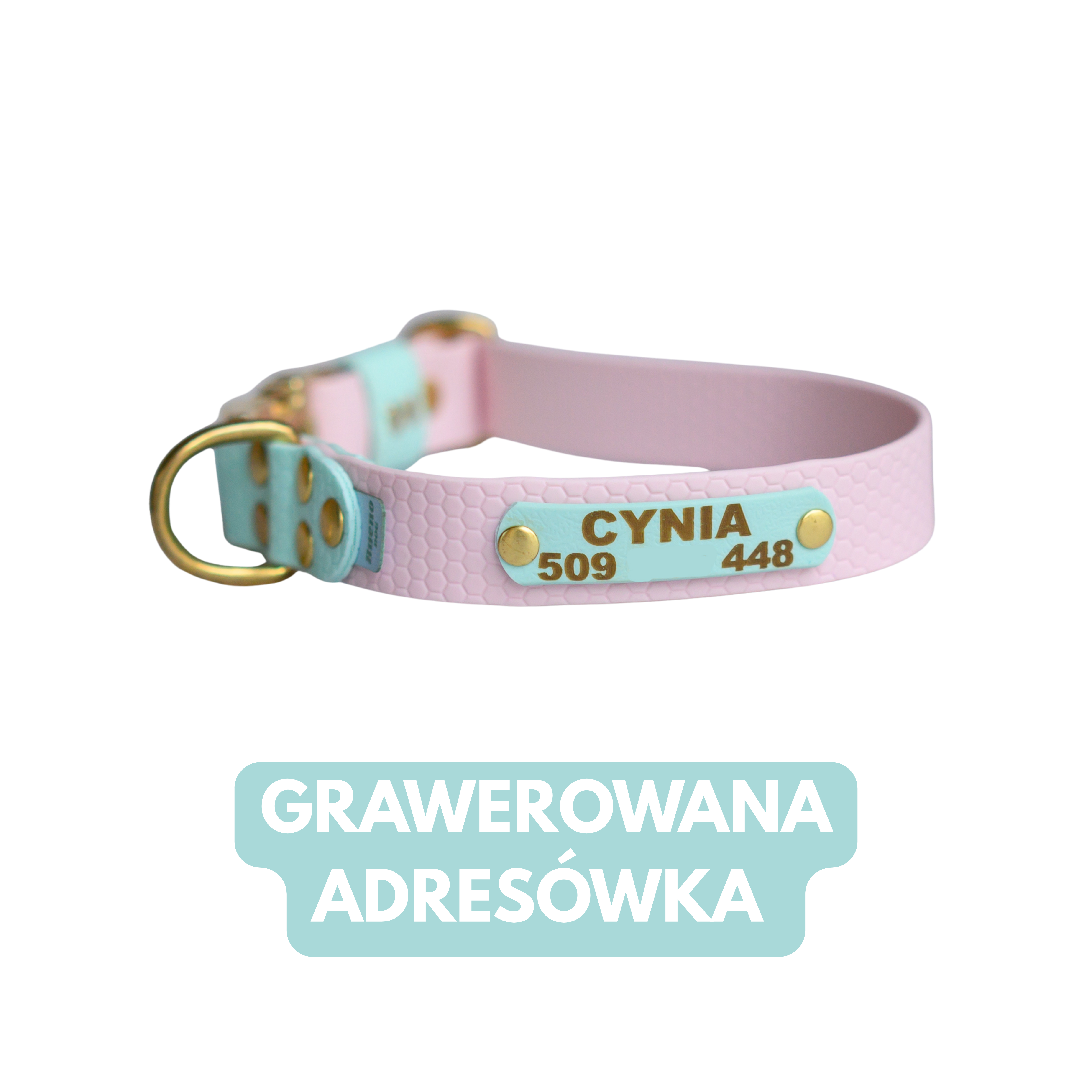 Adresówka dla psa – grawer bez wypełnienia, przykład na plakietce Bueno DOG