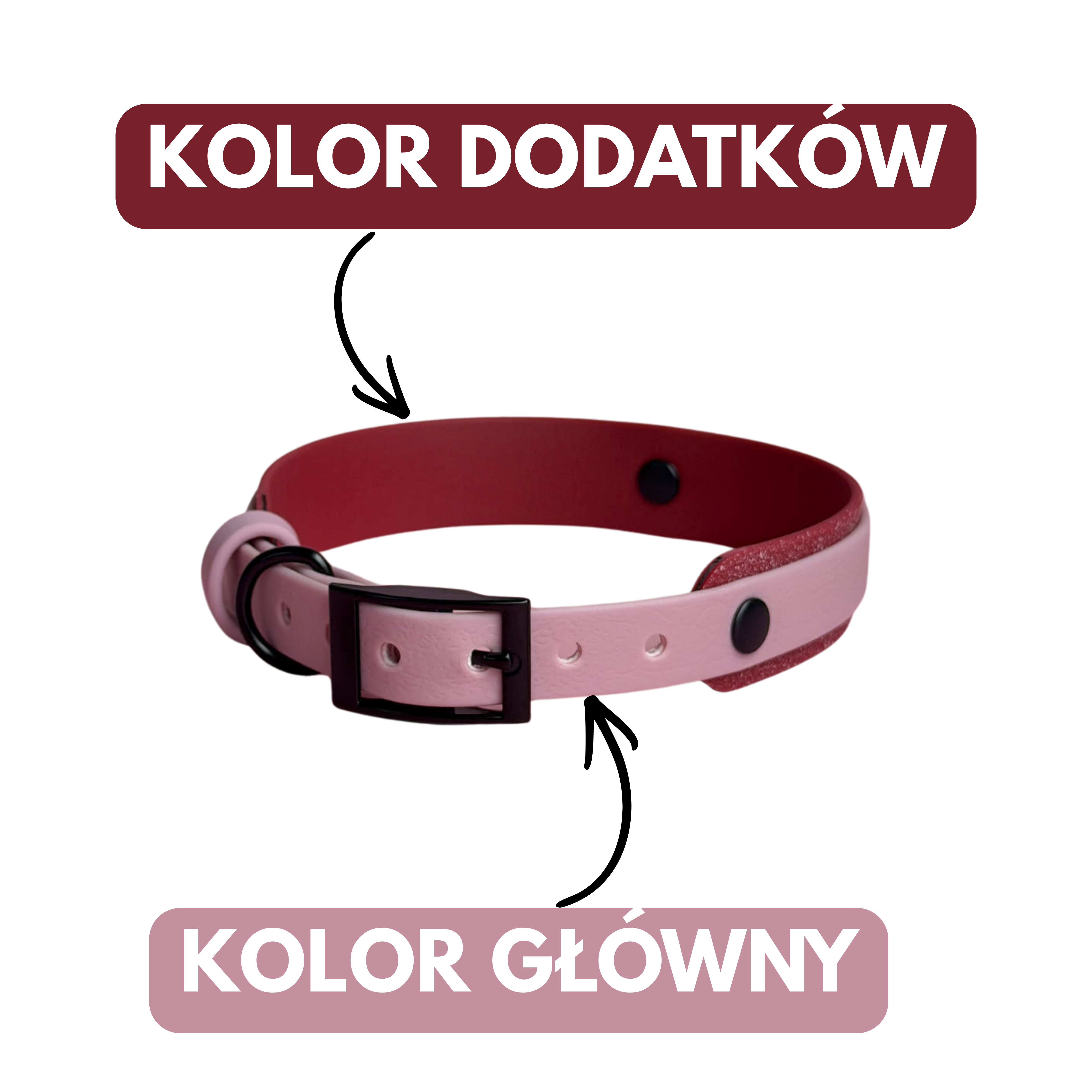 Obroża na sprzączkę DOUBLE – dwukolorowy efekt, widok z przodu (Bueno DOG)