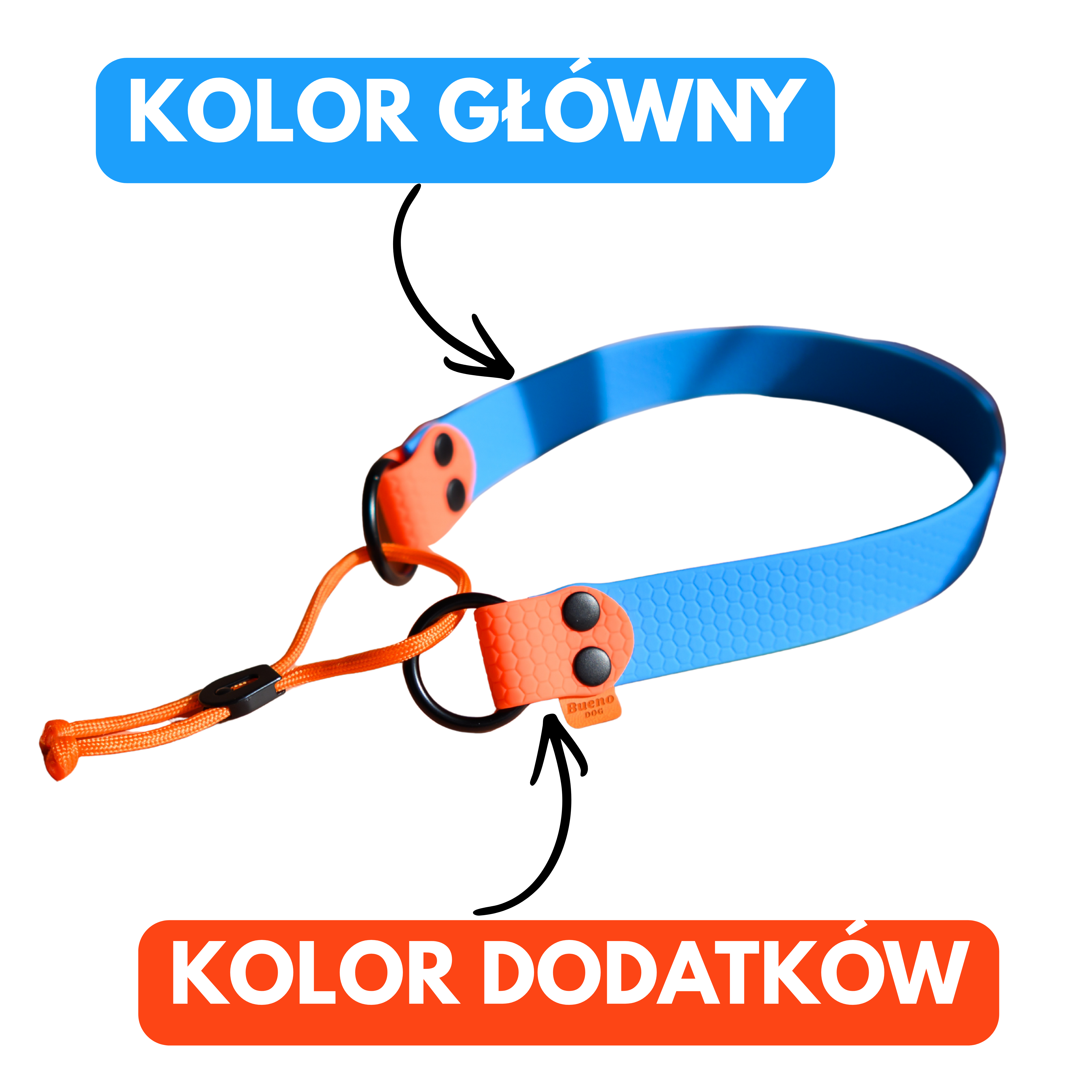 Wzornik kolorów taśm PVC/TPU do opaski bungee OE / GPS 20 mm (2 cm) Bueno DOG – kolory główne i dodatki