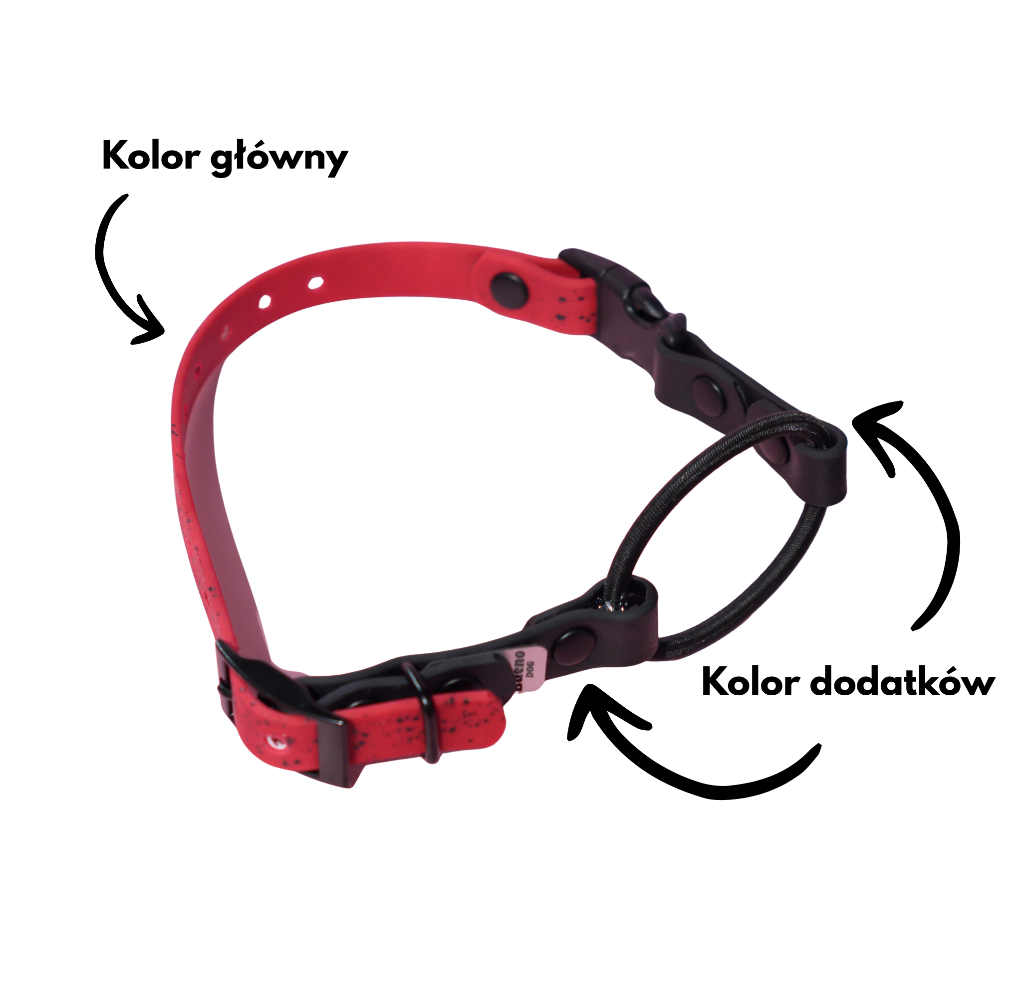 Pasek do obroży treningowej elektrycznej OE 25 mm – plansza kolorów taśm PVC/TPU (hexa plaster miodu, smooth, PawTex) Bueno DOG