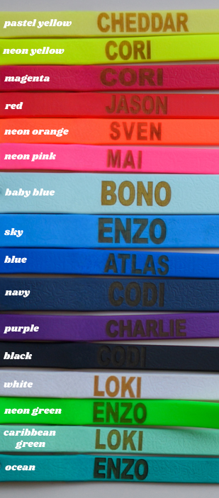 Bueno DOG - ręcznie robione akcesoria dla psów